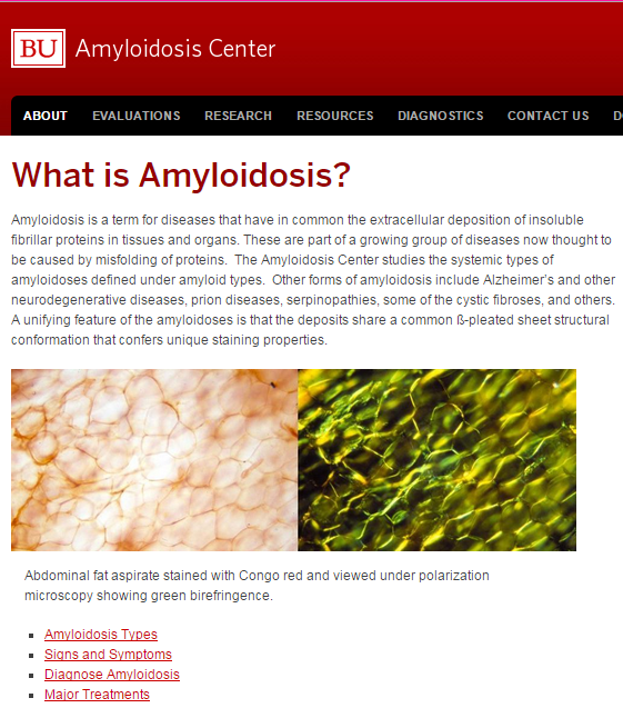 Amyloidosis Support Organization